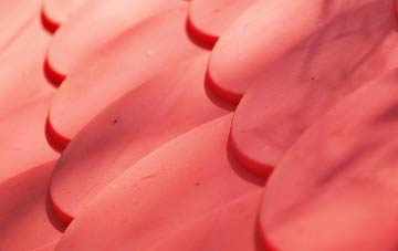 Bidston plastic roof costs